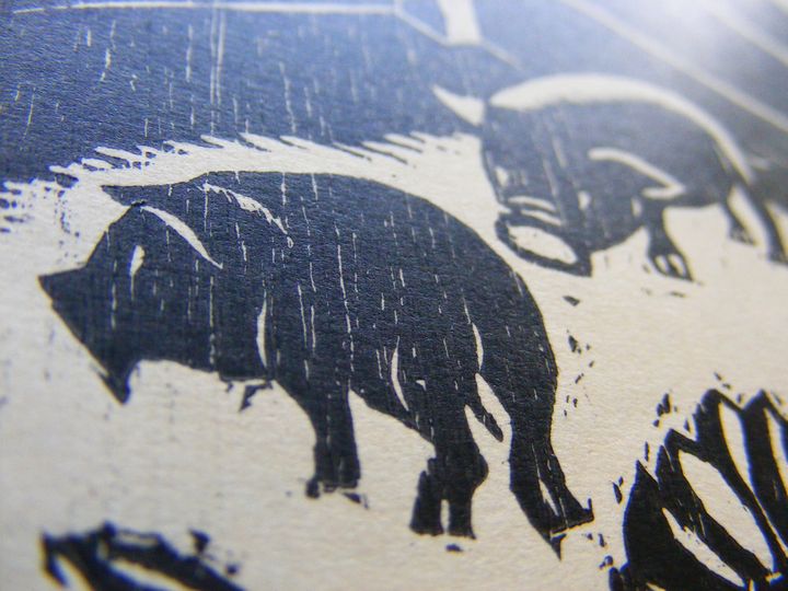 biblioteca 270 copy.jpg